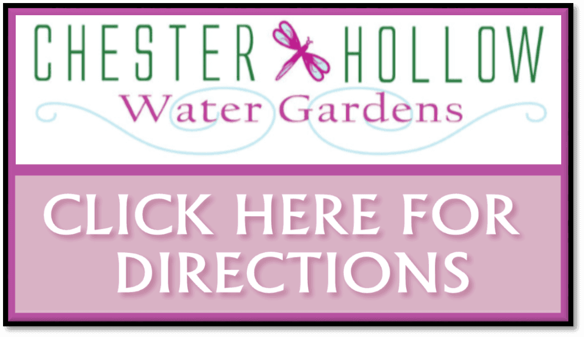 Chester Hollow Water Gardens