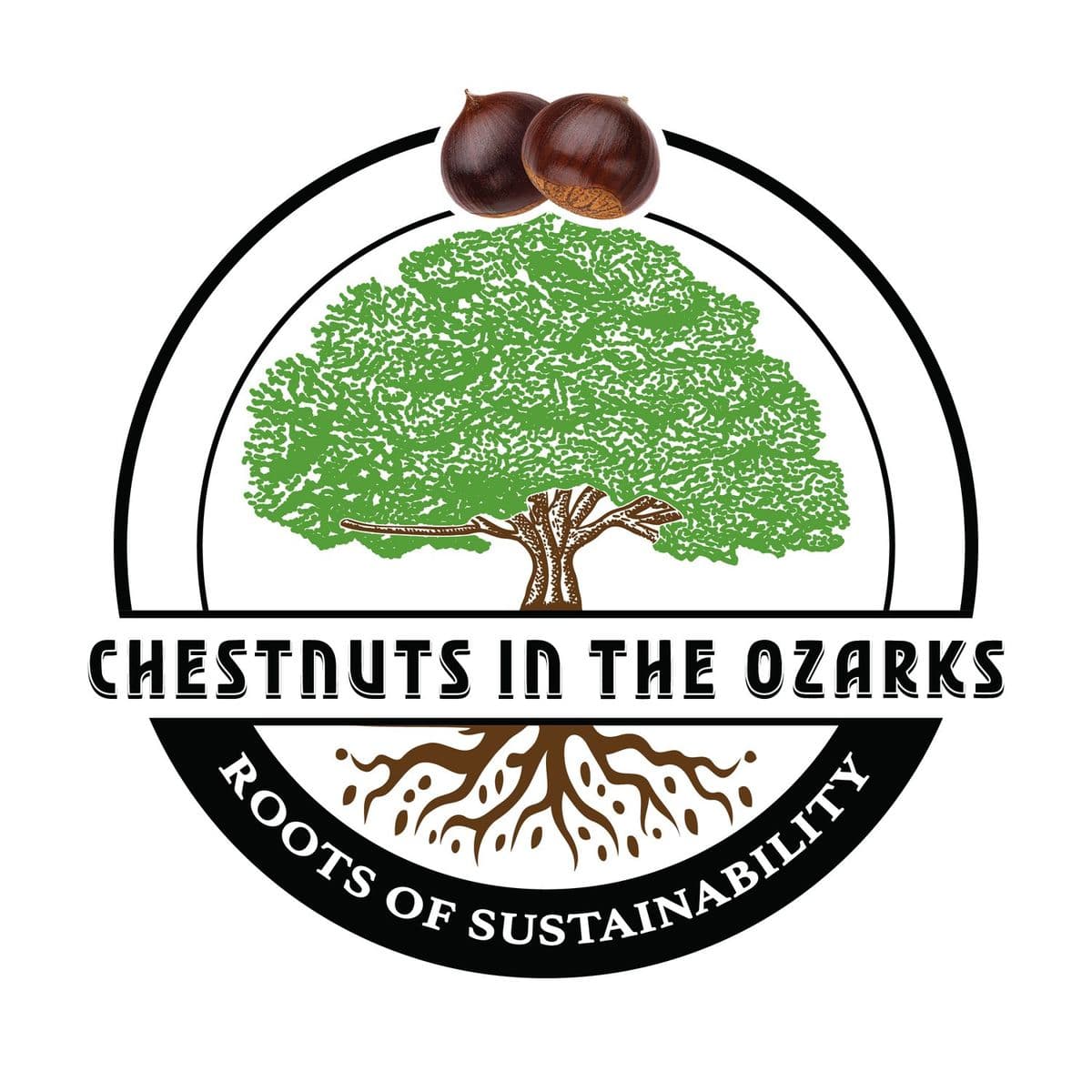 Chestnuts In The Ozarks