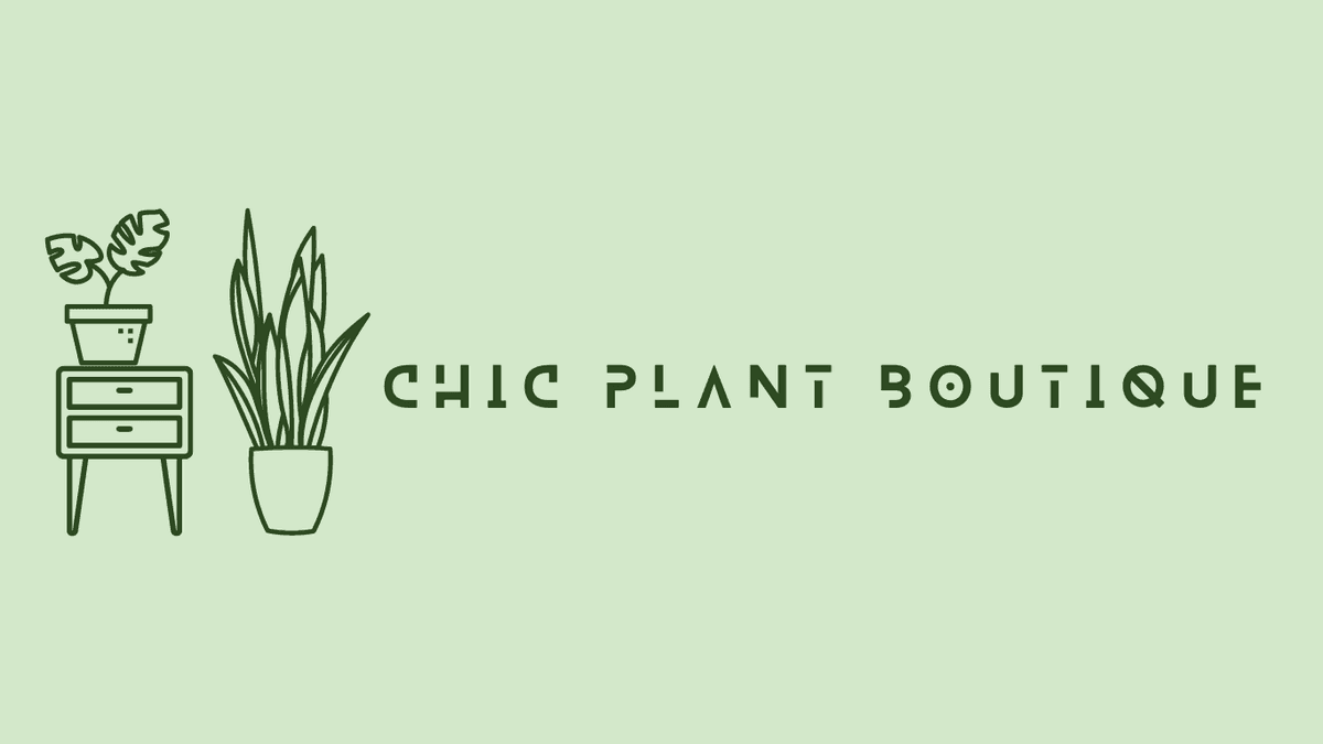 Chic Plant Boutique