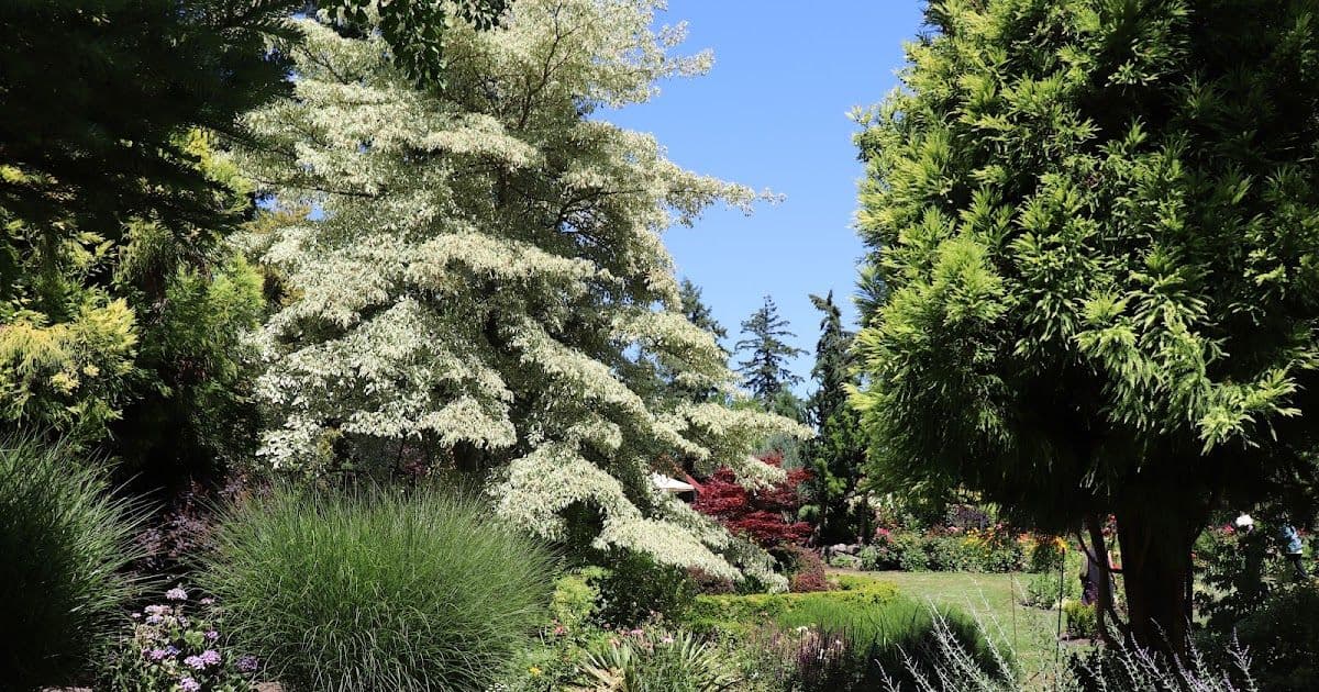 Chick-A-Dee Gardens Nursery