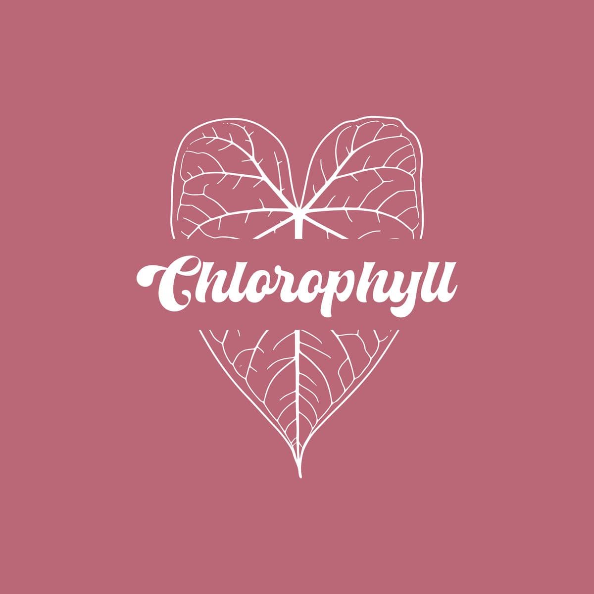 Chlorophyll has LLC