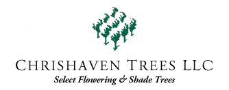 Chrishaven Trees