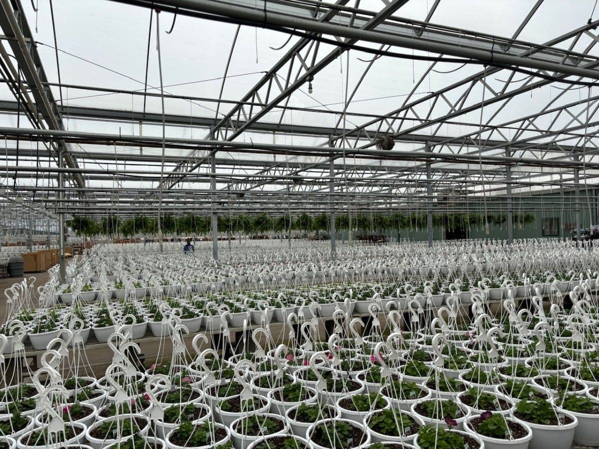Christians Greenhouse
