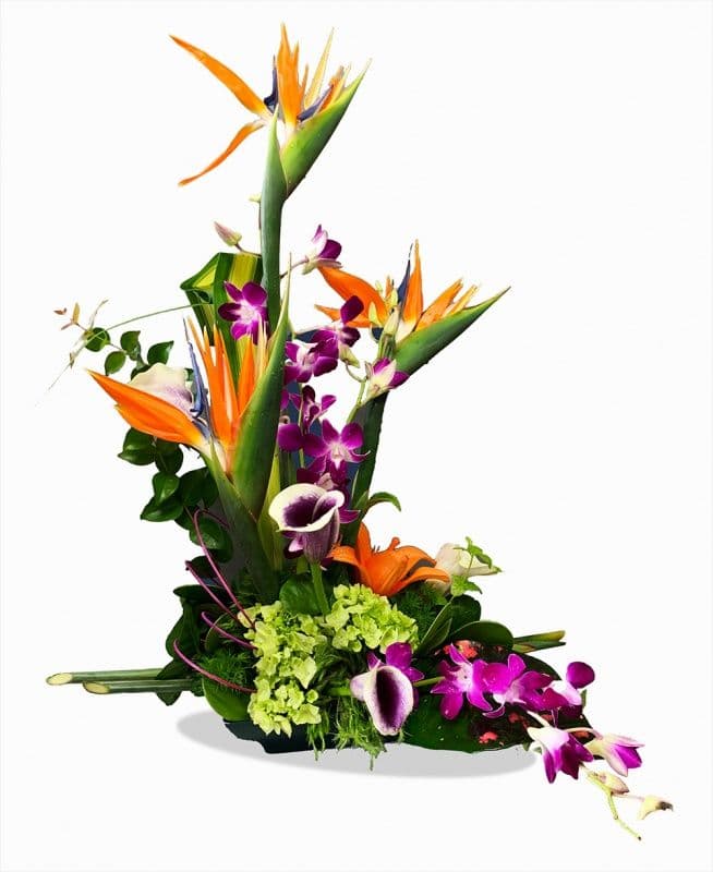 Christie's Flowers & Gifts