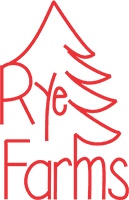 Christmas Conifers
