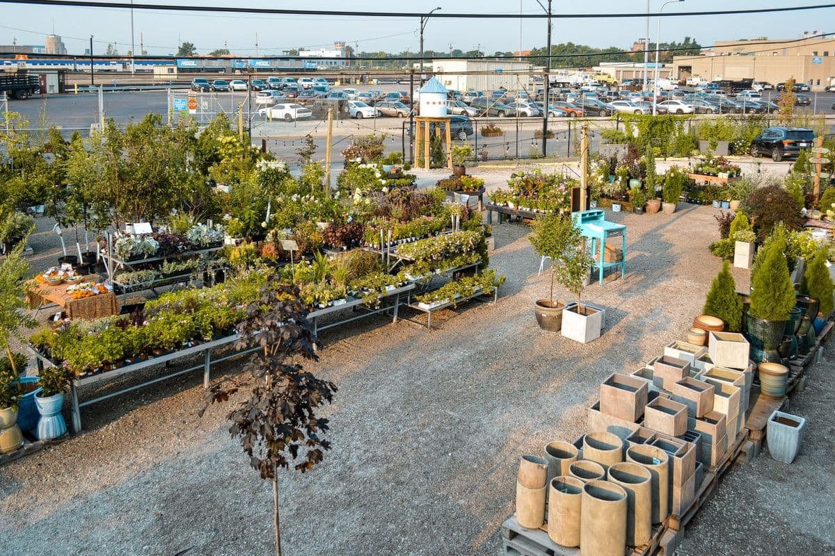 Christy Webber Farm & Garden