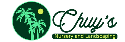 Chuy's Nursery and Landscaping