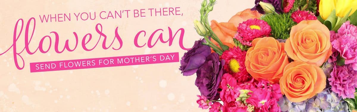 Cinnamon Lane Flowers & Gifts