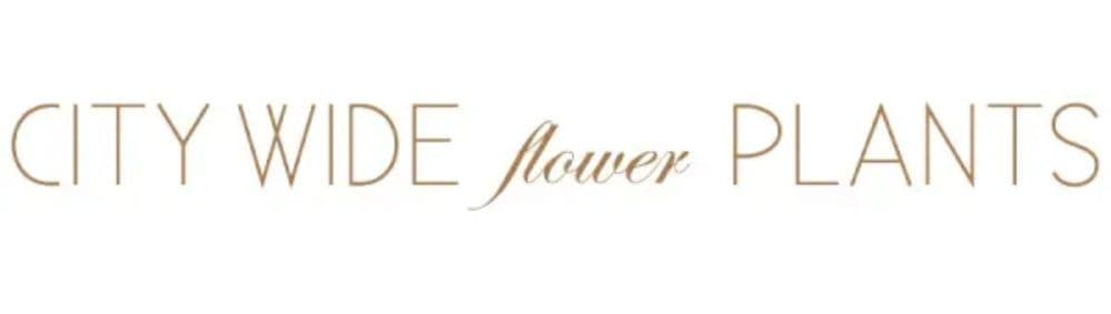 Citywide flower Plants