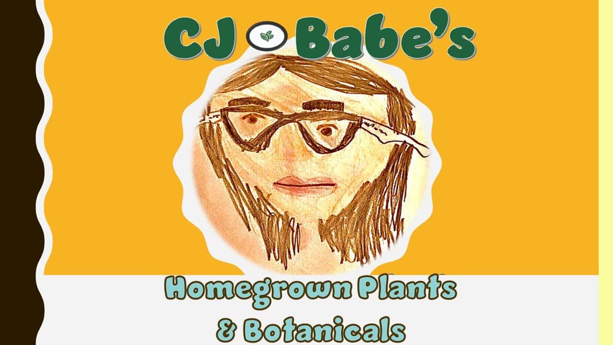 CJ Babe's Homegrown Plants & Botanicals