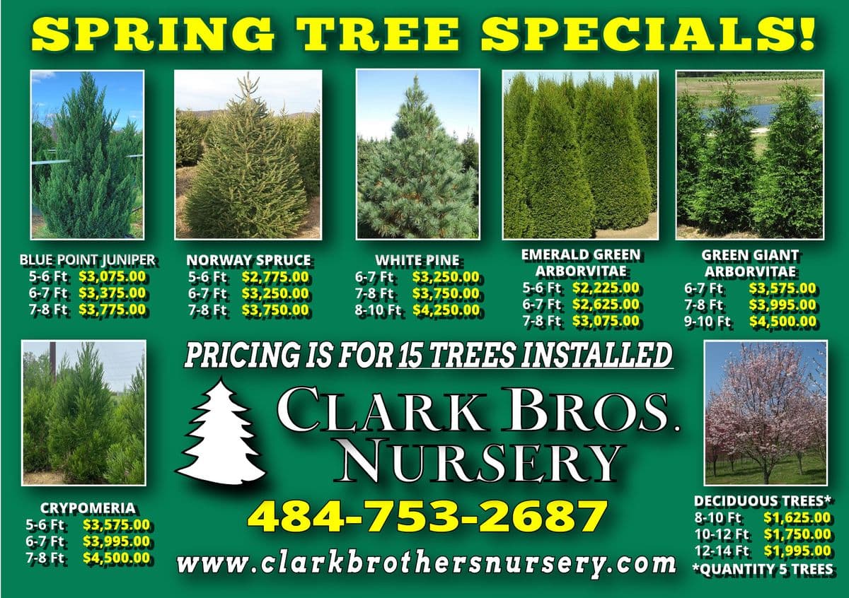 Clark Brothers Nursery
