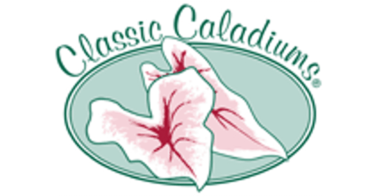 Classic Caladiums Inc