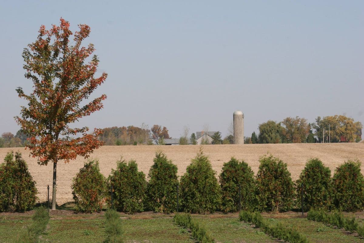 Clausen Landscape & Design