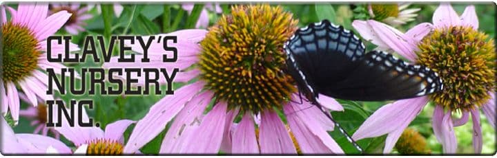 Clavey's Nursery Inc