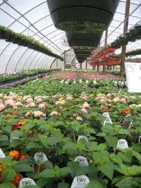 Clay's Garden Center