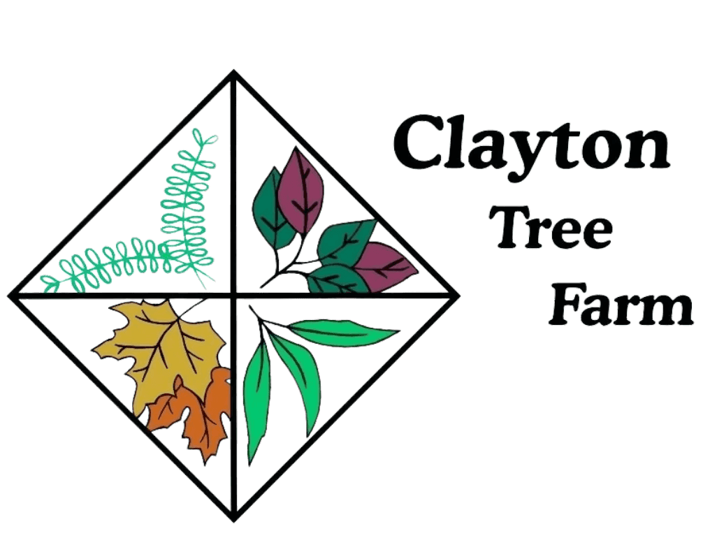 Clayton Tree Farm