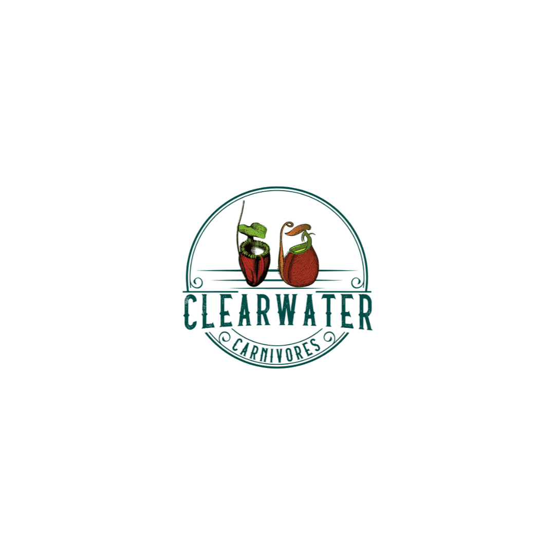 Clearwater Carnivores & Exotic Plants