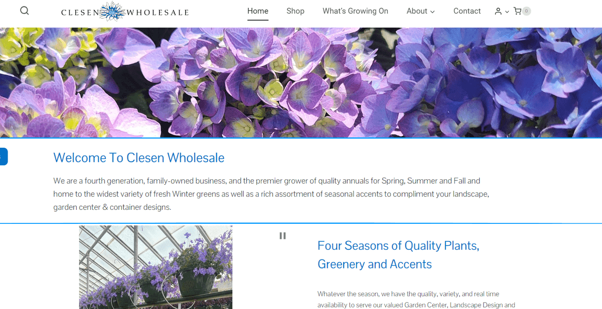 Clesen Wholesale
