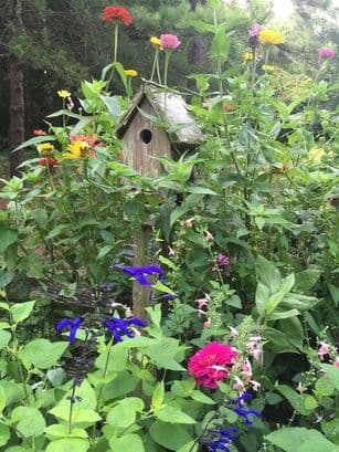 Cline's Landscapes Inc