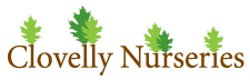 Clovelly Nurseries