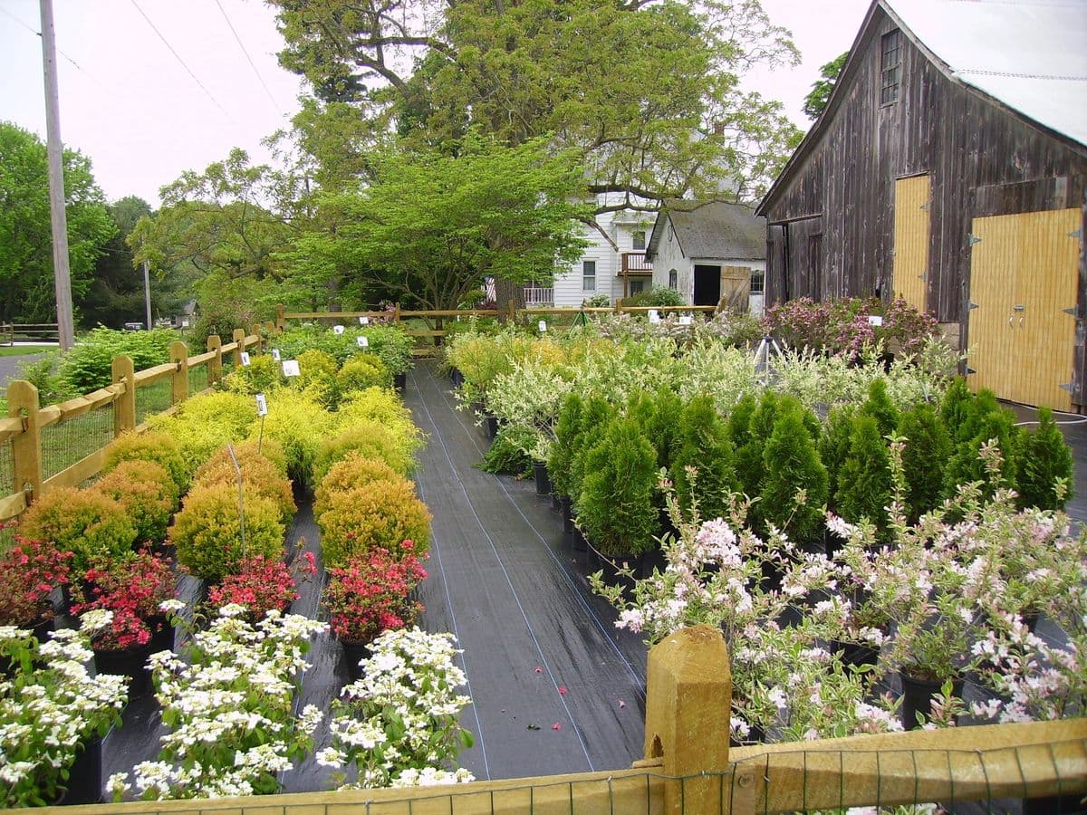 Cloverdale Nursery