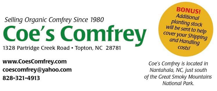 Coe's Comfrey