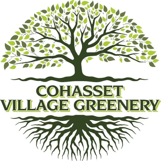 Cohasset Village Greenery