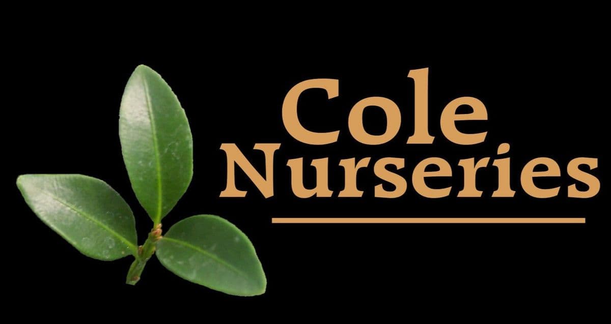 Cole Nurseries