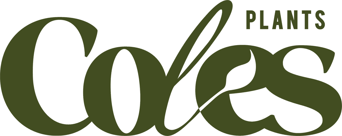 Coles Plants on Church Hill