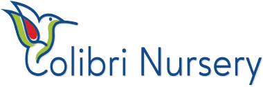 Colibri nursery