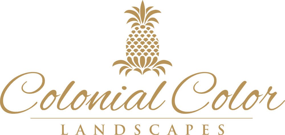 Colonial Color Landscapes