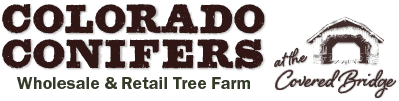 Colorado Conifers Tree Farm And Nursery
