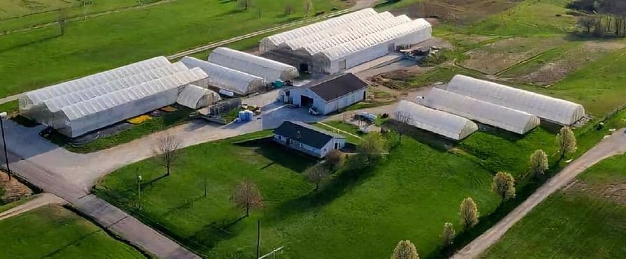 Colorworks Greenhouse