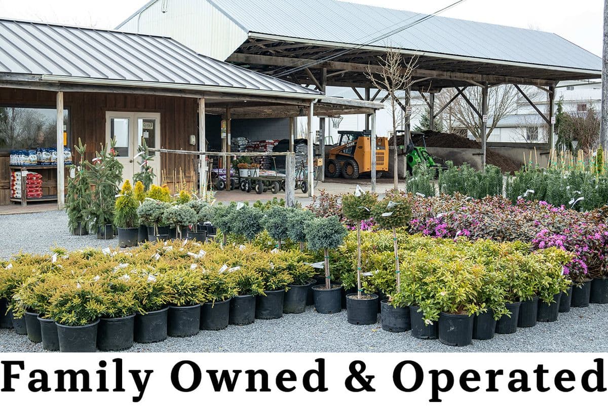Conestoga Nursery
