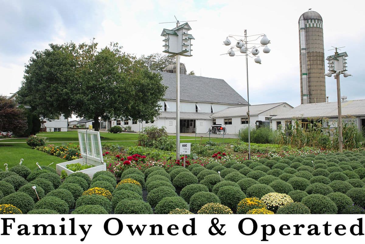 Conestoga Valley Greenhouse