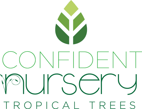 Confident Nursery Tropical Trees