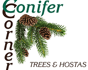 Conifer Corner