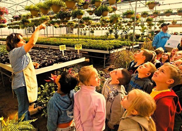 Connie's Country Greenhouse