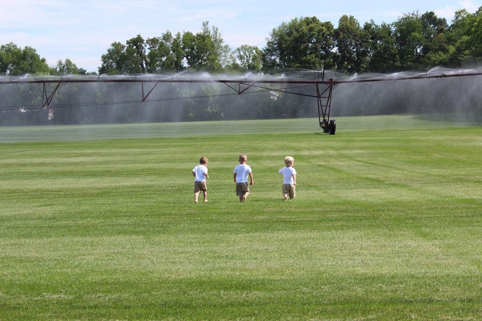 Constantine Turf Farms, Inc