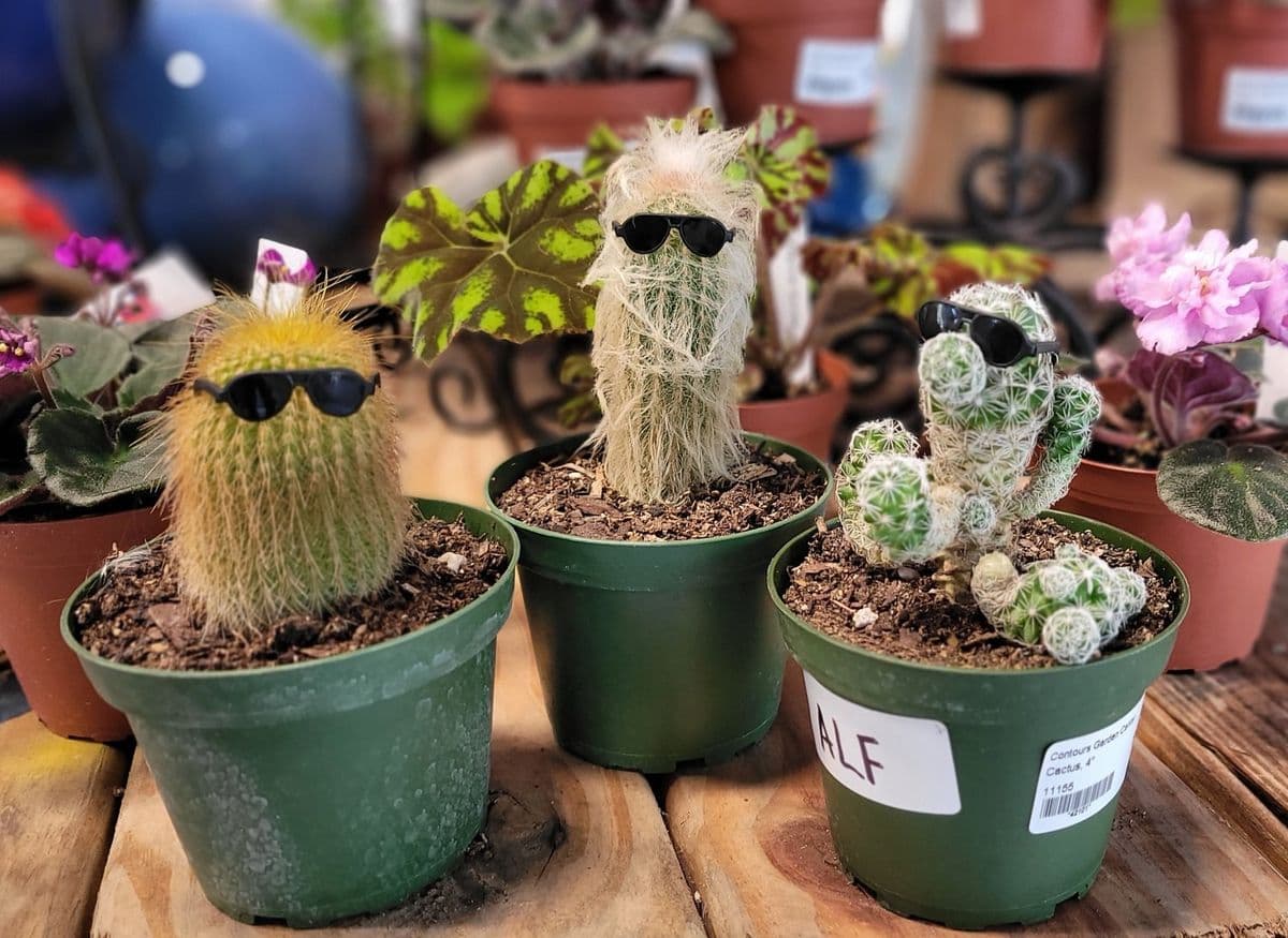 Contours Garden Center