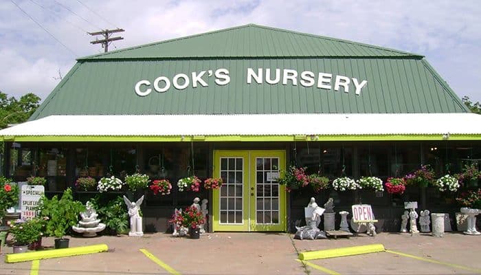 Cooks Nursery Nederland