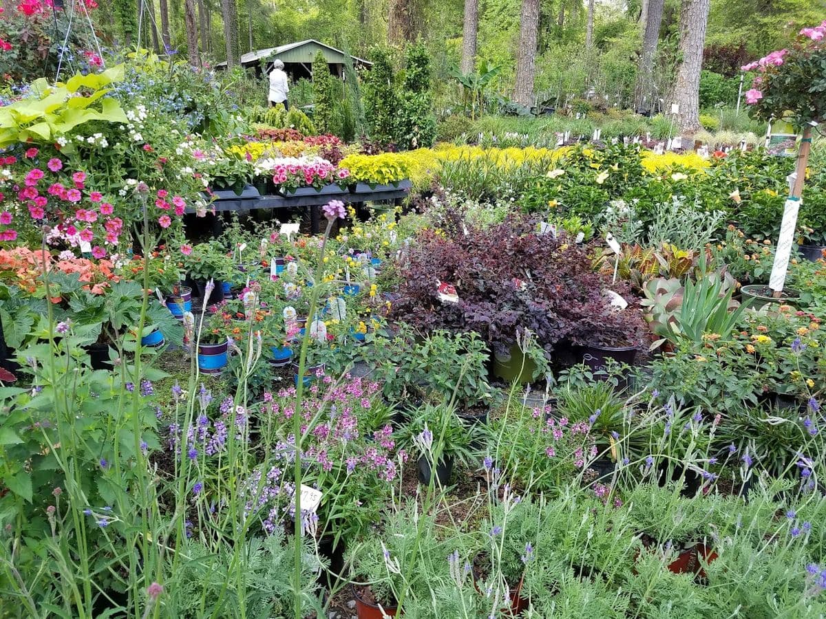 Cooper's Nursery