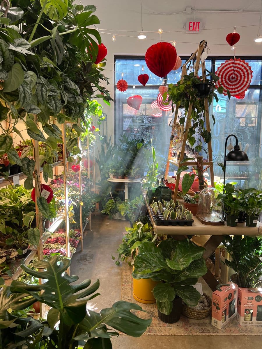 Cope Plant Shoppe