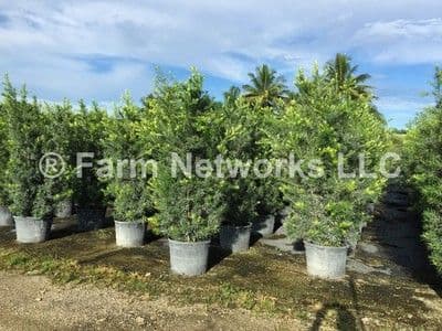 Coral Springs Garden Center