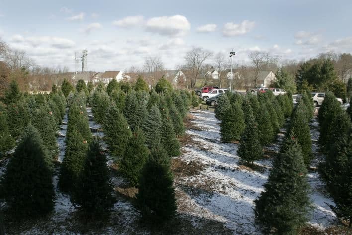Corkum Tree Farm
