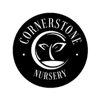 Cornerstone Nursery