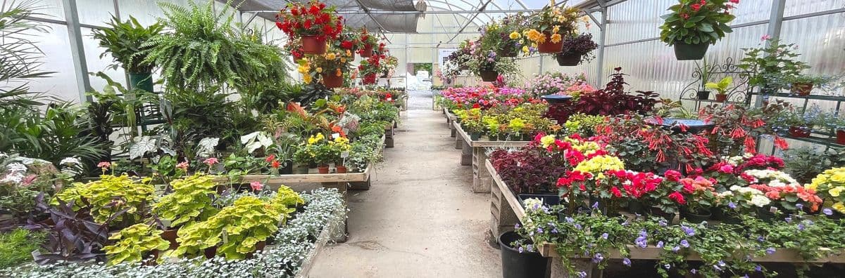 Cortina Gardens