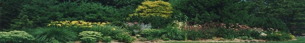 Cosmo's Landscaping and Nursery