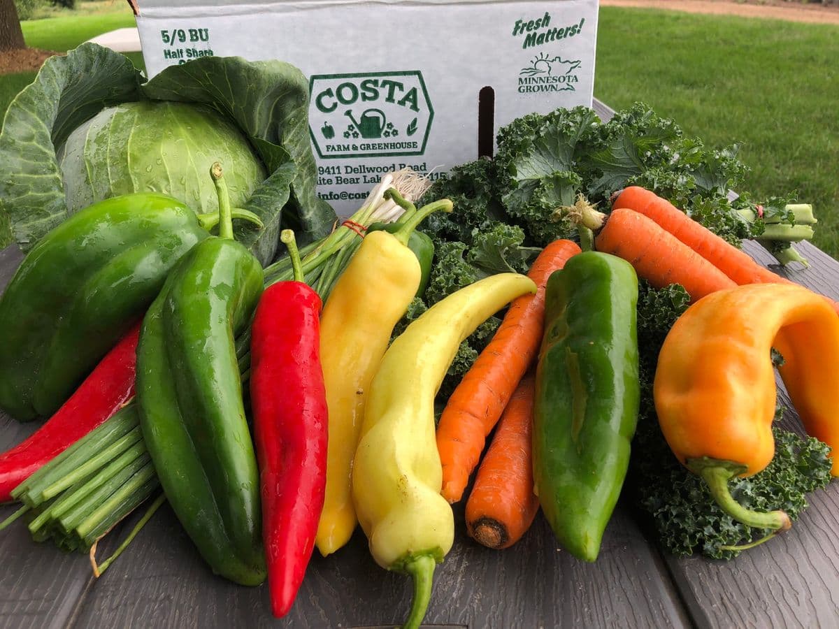Costa Produce Farm & Greenhouse