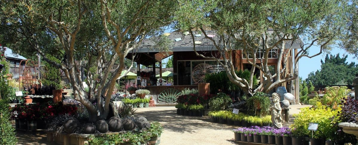 Cottage Gardens of Petaluma, Inc.